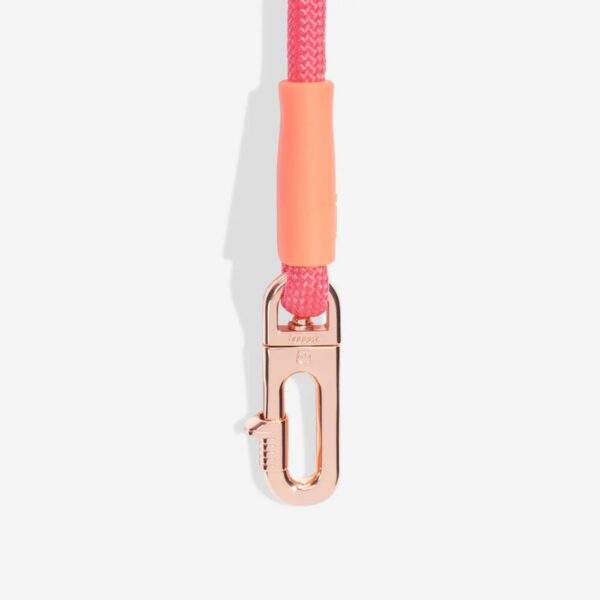 Zee.Dog Guinzaglio per Cani Mani Libere Gazelle Handsfree Leash - Moschettone