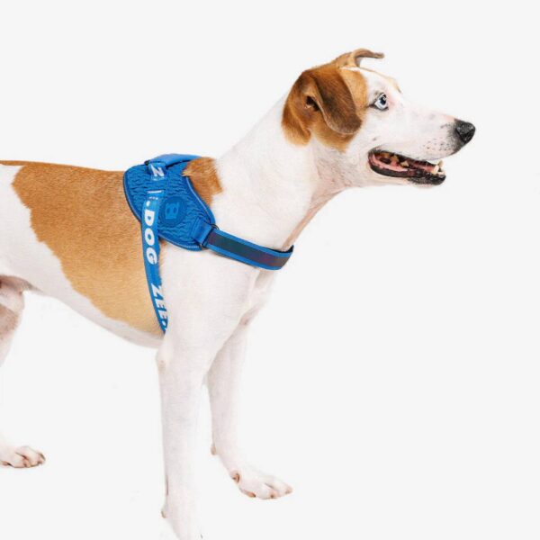 Zee.Dog Pettorina Per Cani con Maniglia Flyharness Lebron