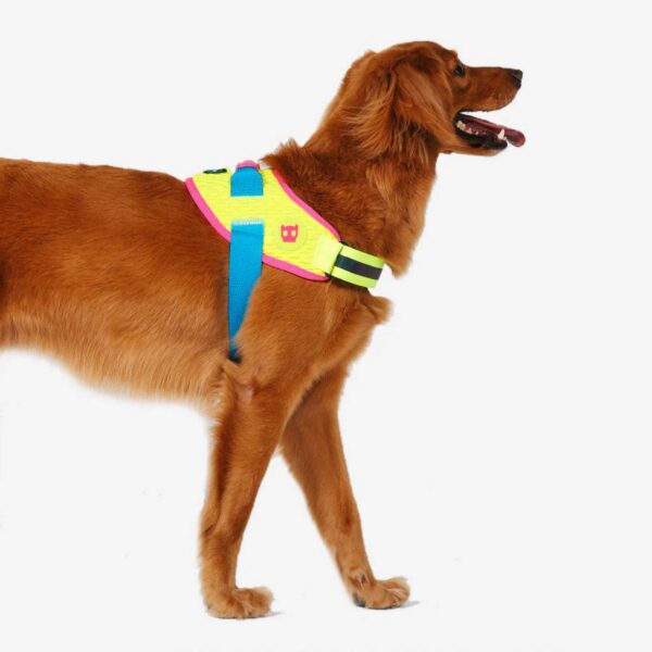 Zee.Dog Pettorina Per Cani con Maniglia Flyharness CMYK