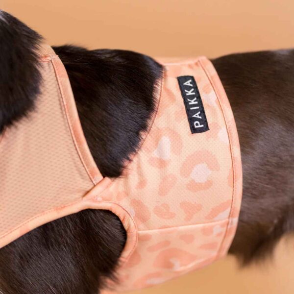 Paikka Maglia Refrigerante per Cani Leo Pesca