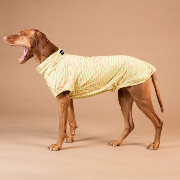 Paikka Maglia Protettiva per Cani Anti UV e Zanzare Matcha