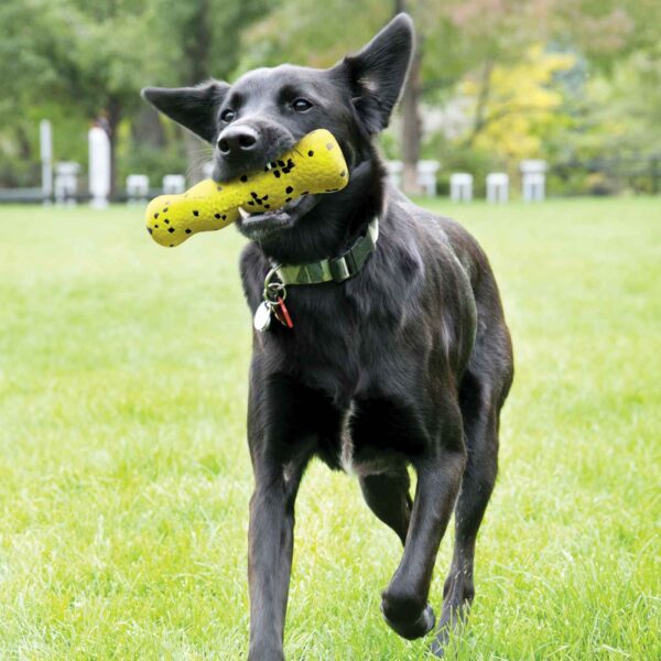 Kong Gioco da Riporto per Cani Reflex Stick Galleggiante RFL22E