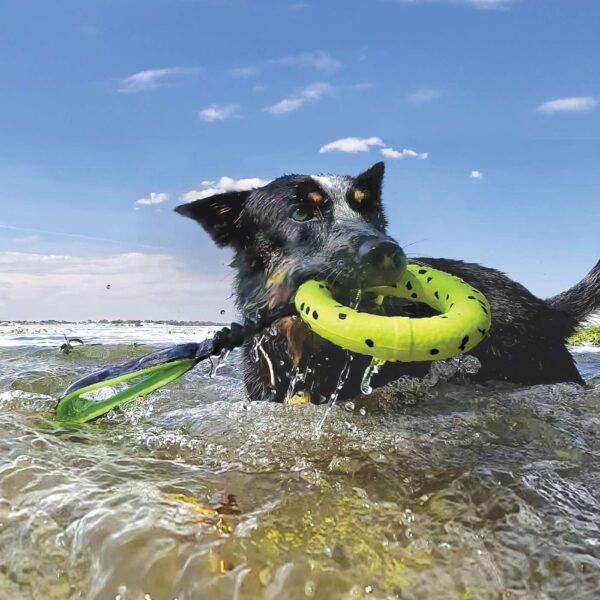 Kong Gioco da Riporto per Cani Reflex Tug Galleggiante RFL11E