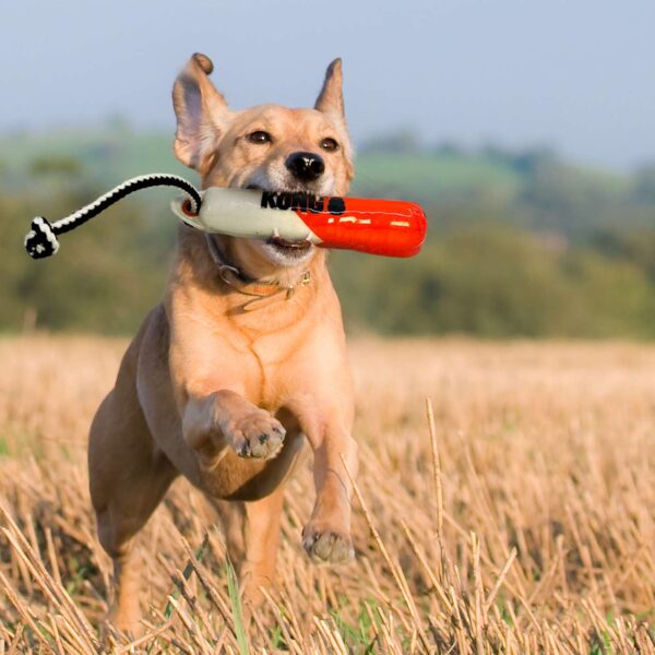 Kong Gioco per Cani Training Dummy Wildshieldz Galleggiante M - L