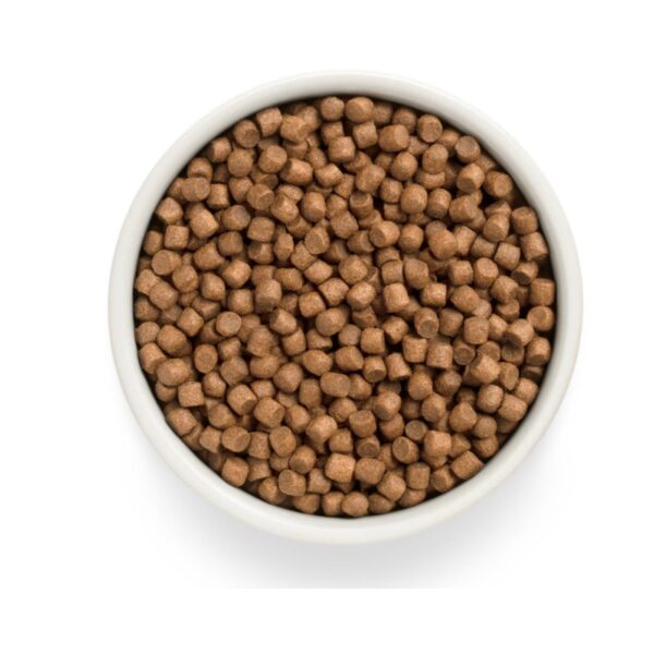 Grandorf Fresh Puppy All Breeds Agnello e Patata Dolce per Cuccioli