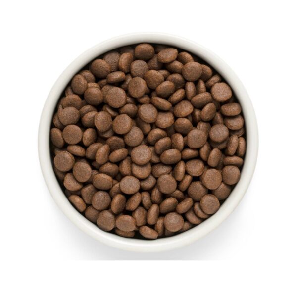 Grandorf Fresh Junior Medium & Maxi Breeds Agnello e Patata Dolce per Cani Juniors