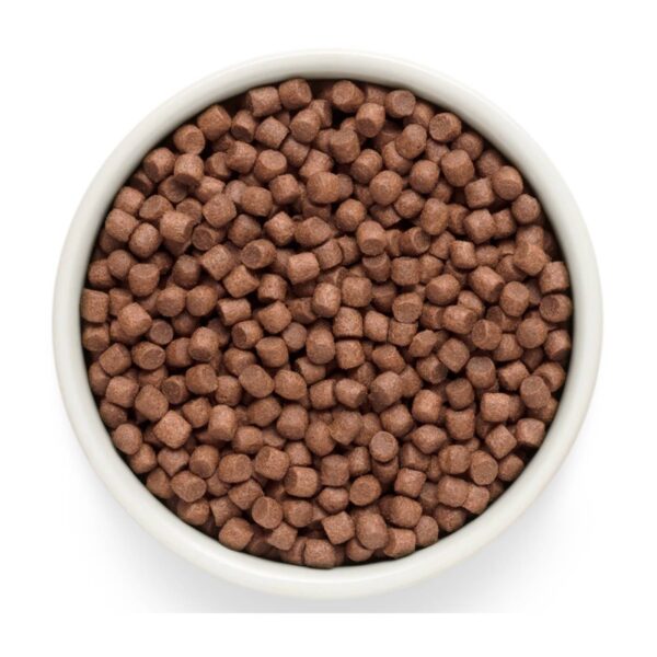Grandorf Fresh Lamb Adult Mini Breeds con Carne Fresca di Agnello e Patate Dolci per Cani Adulti di Piccola Taglia