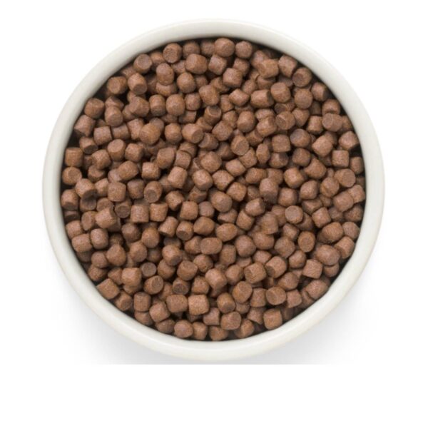 Grandorf Fresh Duck Adult Mini Breeds con Carne Fresca di Anatra e Patate Dolci per Cani Adulti di Piccola Taglia