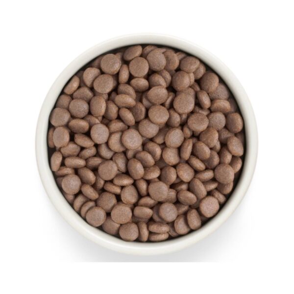 Grandorf Fresh Adult Medium & Maxi Breeds con Carne Fresca di Tacchino e Patata Dolce per Cani Adulti