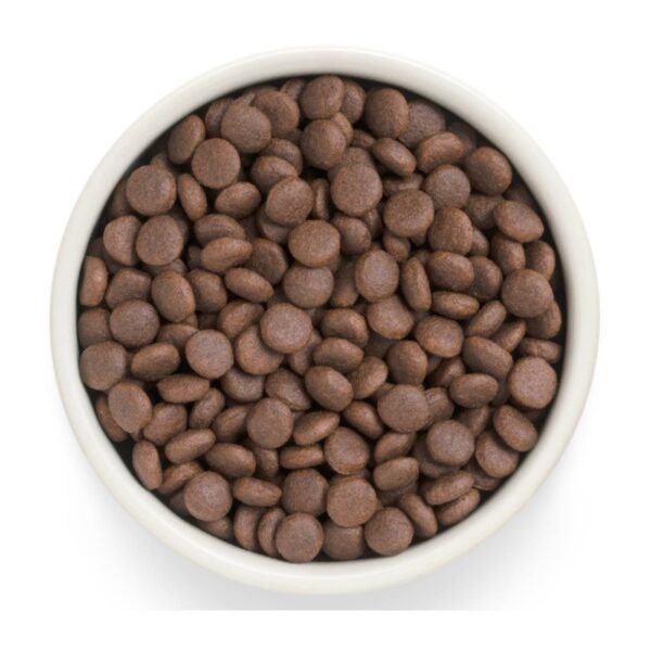 Grandorf Fresh Adult Medium & Maxi Breeds con Carne Fresca di Anatra e Patata Dolce per Cani Adulti