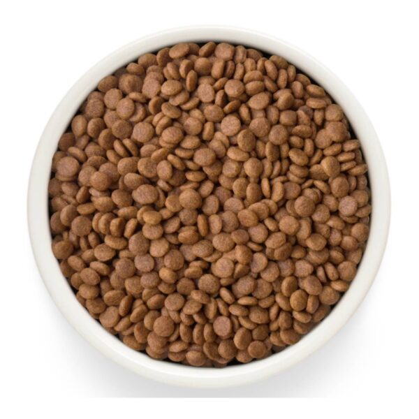 Grandorf Fresh Cat con Carne Fresca di Anatra e Patate Dolci per Gatti Adulti