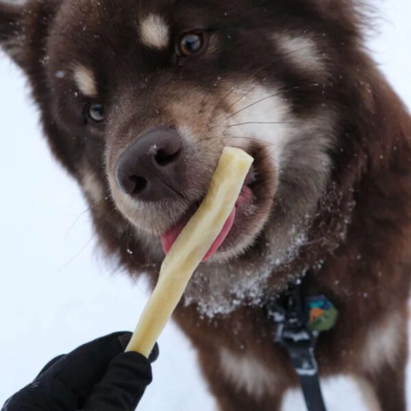 Pala Snack al Formaggio per Cani