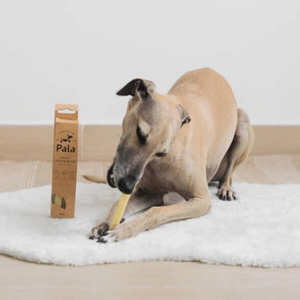 Pala Snack al Formaggio per Cani