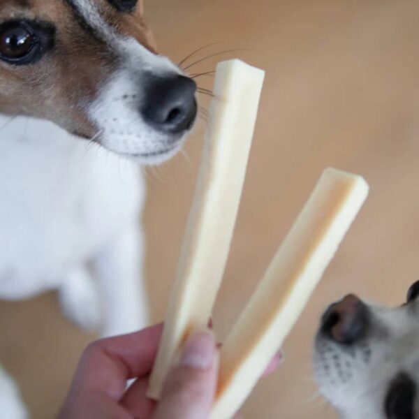 Pala Snack al Formaggio per Cani