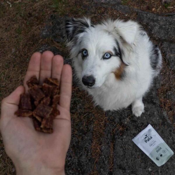 Pala Snack per Cani 100% Anatra Monoproteici 100 g