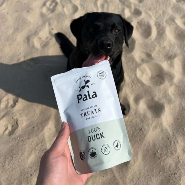 Pala Snack per Cani 100% Anatra Monoproteici 100 g