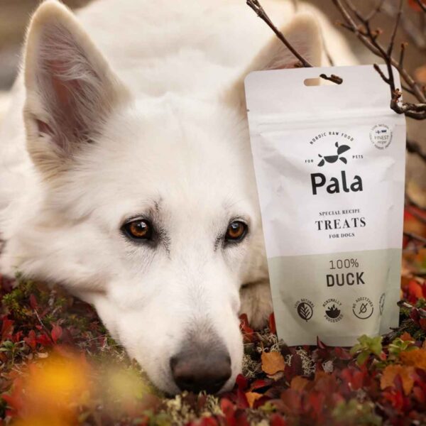 Pala Snack per Cani 100% Anatra Monoproteici 100 g