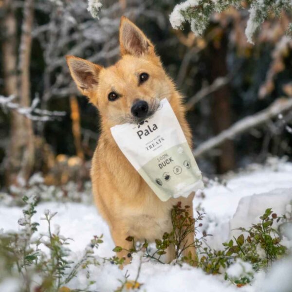Pala Snack per Cani 100% Anatra Monoproteici 100 g