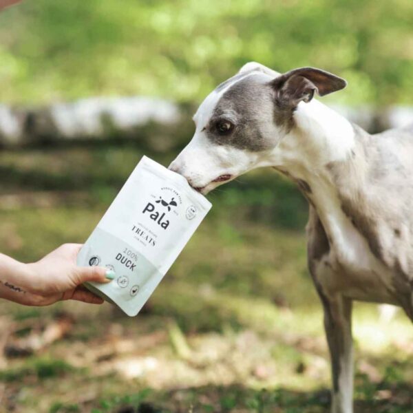 Pala Snack per Cani 100% Anatra Monoproteici 100 g