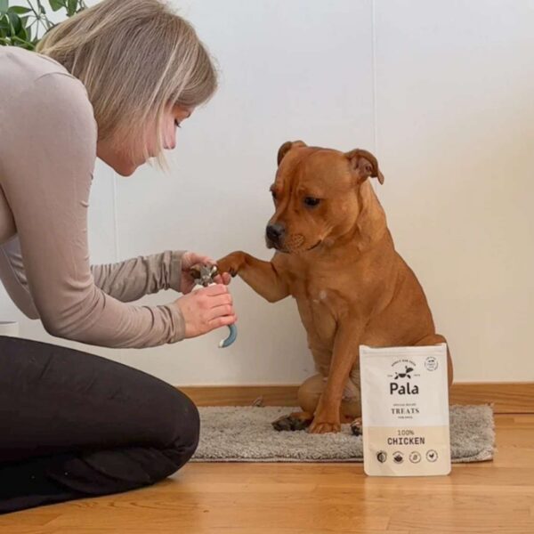Pala Snack per Cani 100% Pollo Monoproteici 100 g