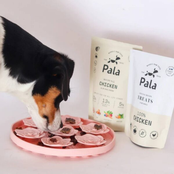 Pala Snack per Cani 100% Pollo Monoproteici 100 g