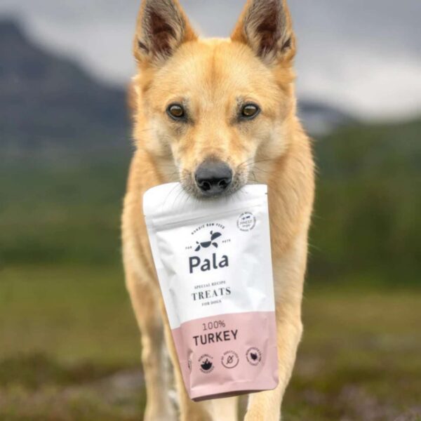 Pala Snack per Cani 100% Tacchino Monoproteici 100 g