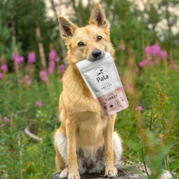 Pala Snack per Cani 100% Tacchino Monoproteici 100 g