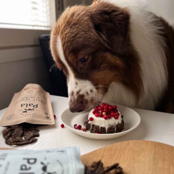 Pala Alimento Completo per Cani con Coniglio Aringa & Salmone Ricetta N° 4