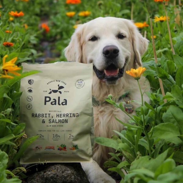 Pala Alimento Completo per Cani con Coniglio Aringa & Salmone Ricetta N° 4