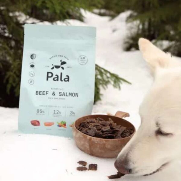 Pala Alimento Completo per Cani con Manzo & Salmone Ricetta N° 3