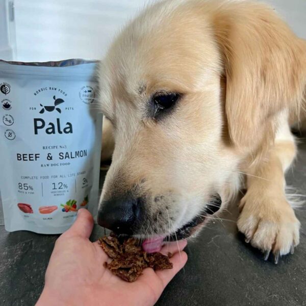 Pala Alimento Completo per Cani con Manzo & Salmone Ricetta N° 3