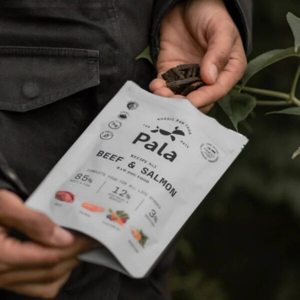 Pala Alimento Completo per Cani con Manzo & Salmone Ricetta N° 3