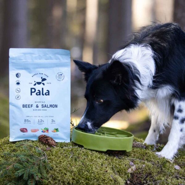 Pala Alimento Completo per Cani con Manzo & Salmone Ricetta N° 3