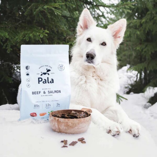 Pala Alimento Completo per Cani con Manzo & Salmone Ricetta N° 3