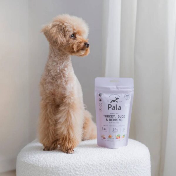 Pala Alimento Completo per Cani con Tacchino Anatra & Aringa Ricetta N° 6.