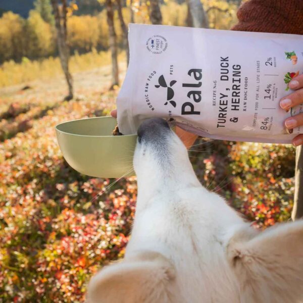 Pala Alimento Completo per Cani con Tacchino Anatra & Aringa Ricetta N° 6.