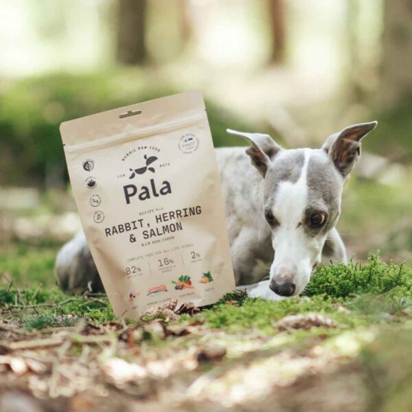 1 Kg - Pala Alimento Completo per Cani con Coniglio Aringa & Salmone Ricetta N° 4