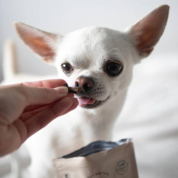 1 Kg - Pala Alimento Completo per Cani con Coniglio Aringa & Salmone Ricetta N° 4
