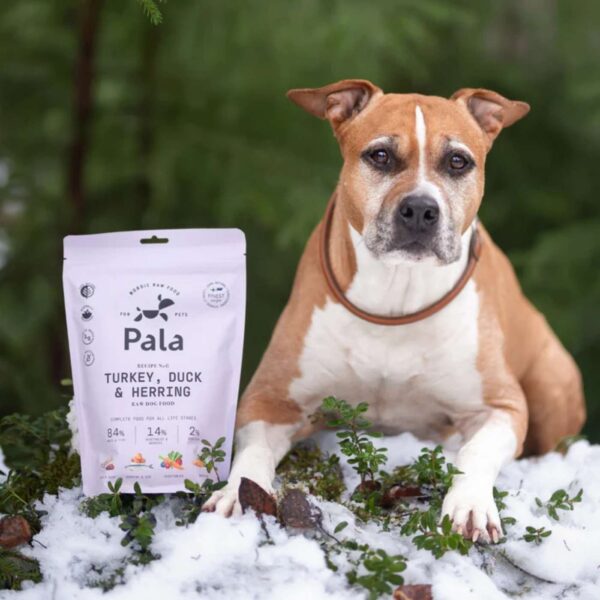 1 Kg - Pala Alimento Completo per Cani con Tacchino Anatra & Aringa Ricetta N° 6
