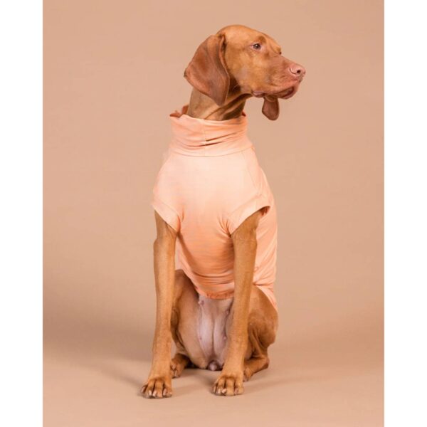 Paikka Maglia Protettiva per Cani Anti UV e Zanzare Pesca