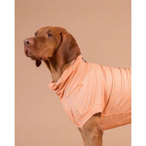 Paikka Maglia Protettiva per Cani Anti UV e Zanzare Pesca