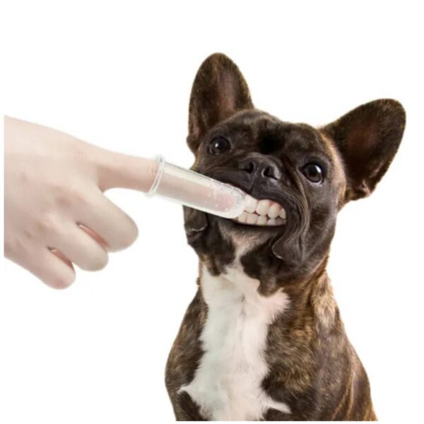 Set di spazzolini da denti Per Cani e Gatti