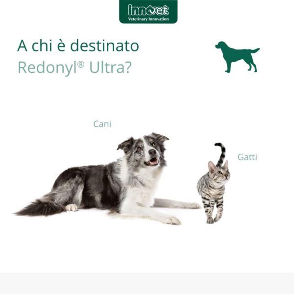 innovet redonyl® ultra 50 mg per cani e gatti fino a 12 kg