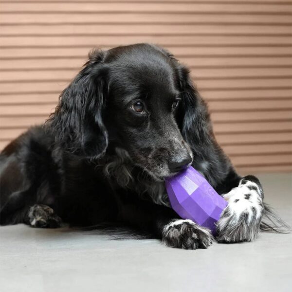 Zee.Dog Gioco per Cani in Gomma Naturale 100% Atossica Super Veggiez Melanzana