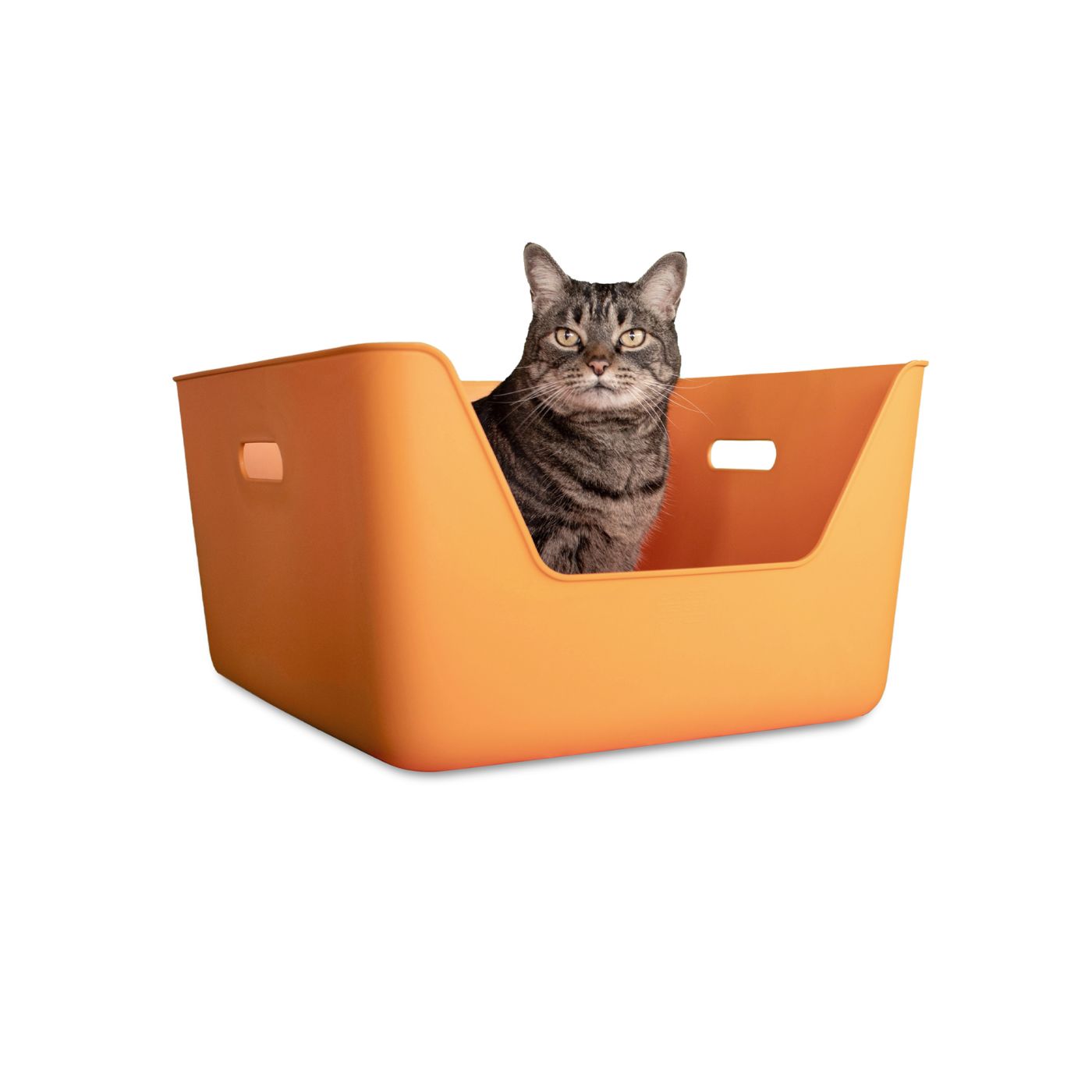 CDSG Lettiera Toilette per Gatti Arancione