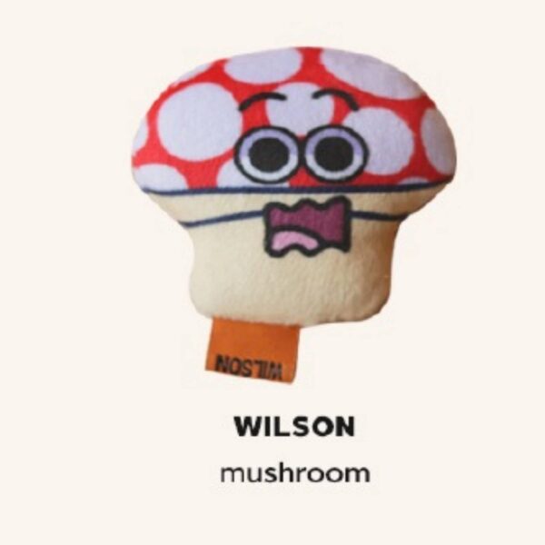 CDSG Gioco Peluche per Gatti Wilson