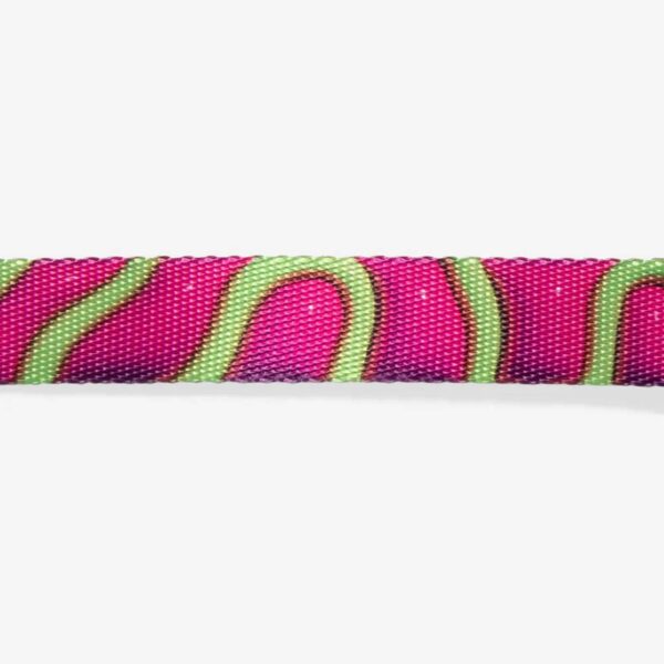 Zee.Dog Collare Regolabile per Cani Jelly H3D