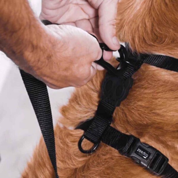 Zee.Dog Pettorina ad H per Cani Puff H3D
