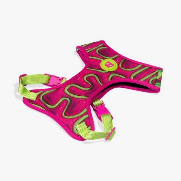 Zee.Dog Pettorina Regolabile Air Mesh per Cani Jelly H3D
