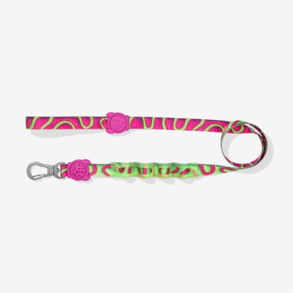 Zee.Dog Guinzaglio Ammortizzato per Cani Jelly H3D Ruff